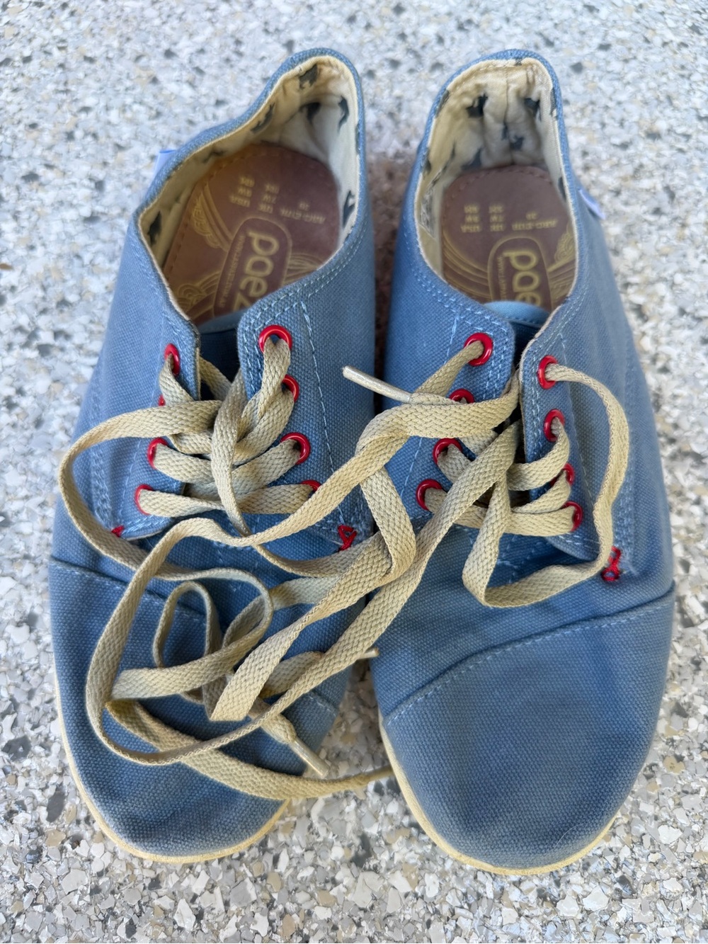 Paez sneakers